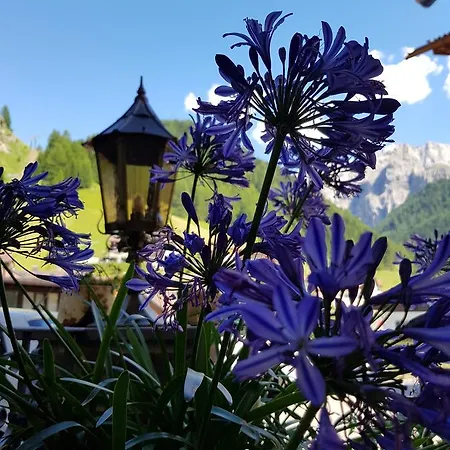 Garni Rubens Bed & Breakfast Selva di Val Gardena